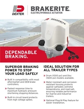 BrakeRite Flyer (LIT-256-00)